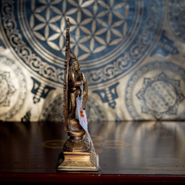 Shiva Nataraja - immagine 2
